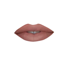 Luxurious Liquid Lip Silk - Frontier - Perfect Fall Color!