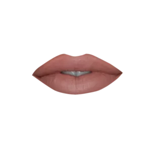 Luxurious Liquid Lip Silk - Frontier - Perfect Fall Color!