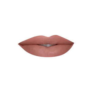 Luxurious Liquid Lip Silk - Sahara - Best Seller!